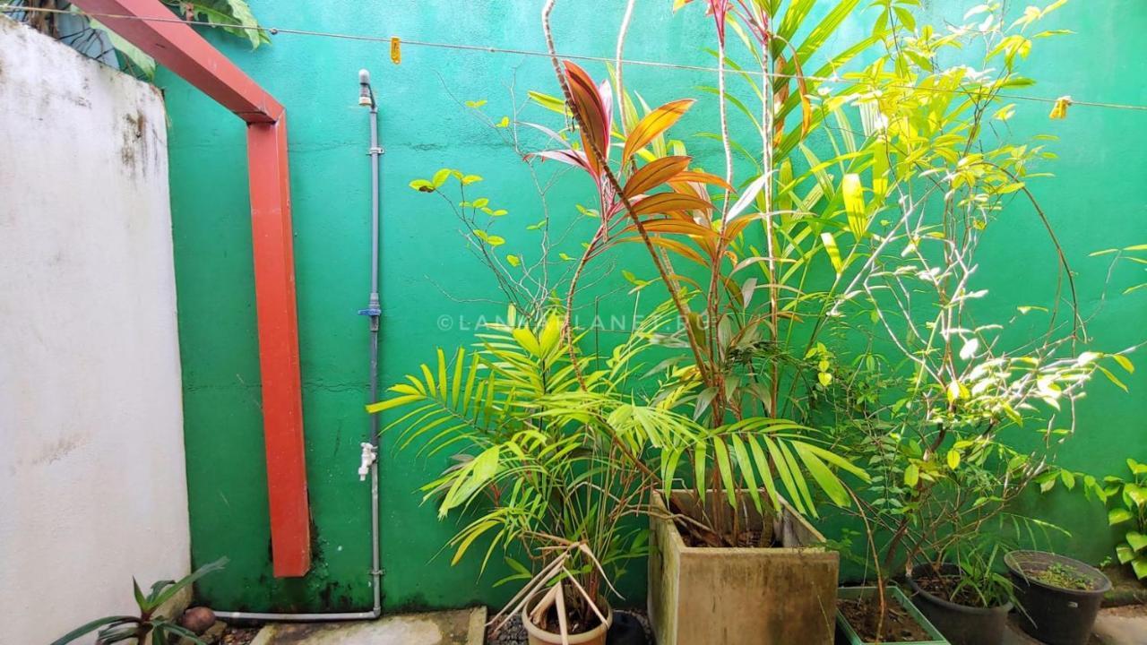 Twin Palms Hotel Mirissa Bagian luar foto